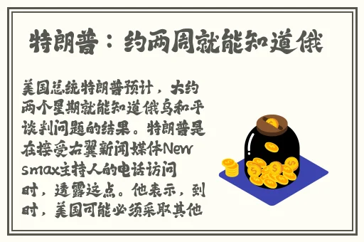 纳西妲开襟开叉裙鞋子选择